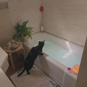 美国一级毛片老妇
